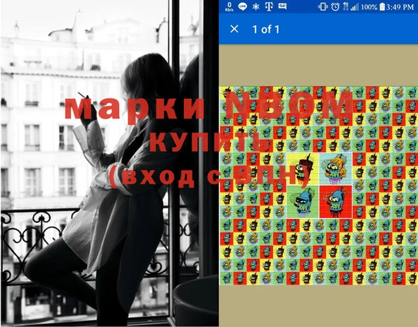 прущие крисы Надым