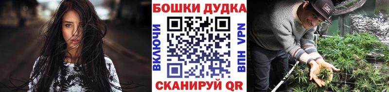 Бошки марихуана гибрид  наркотики  Калининец 